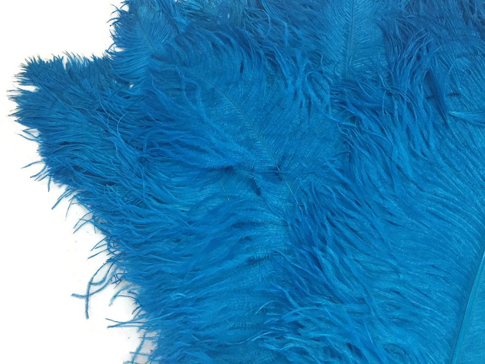 10 Pieces - 18-24" Turquoise Blue Large Prime Grade Ostrich Wing Plume Centerpiece Feathers