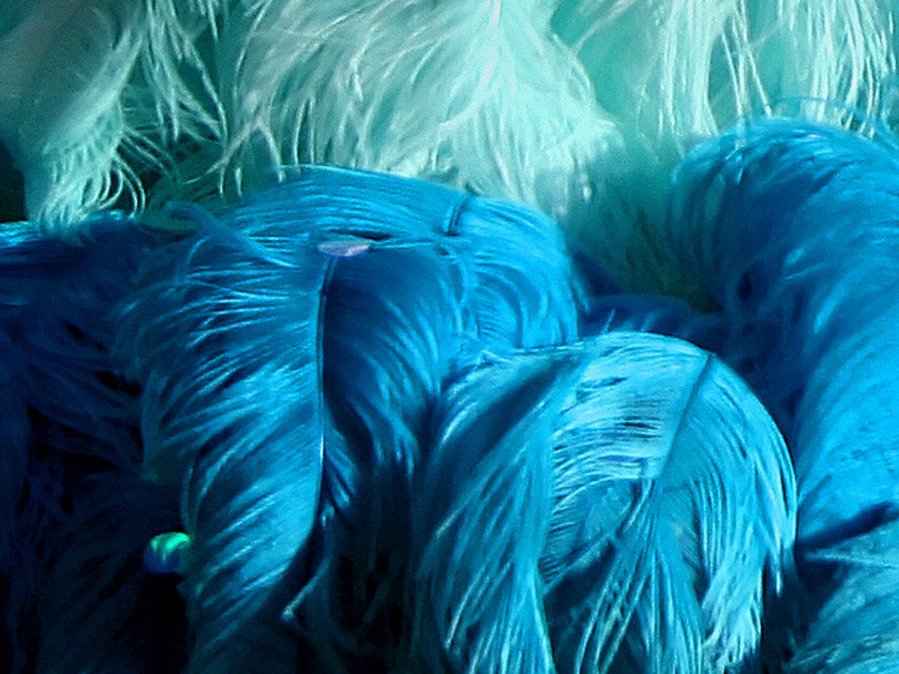1/2 Lb. - 18-24" Turquoise Blue Large Ostrich Wing Plume Wholesale Feathers (Bulk)