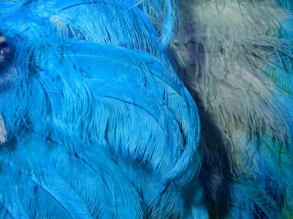 10 Pieces - 18-24" Turquoise Blue Large Prime Grade Ostrich Wing Plume Centerpiece Feathers