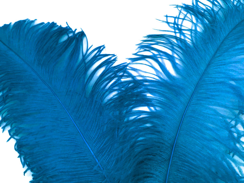 1/2 Lb. - 18-24" Turquoise Blue Large Ostrich Wing Plume Wholesale Feathers (Bulk)