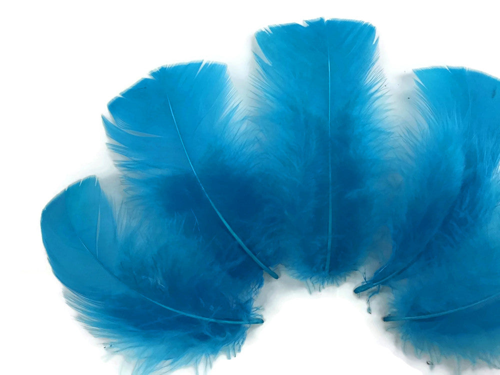 1/4 Lb - Turquoise Blue Turkey T-Base Wholesale Body Plumage Feathers (Bulk)