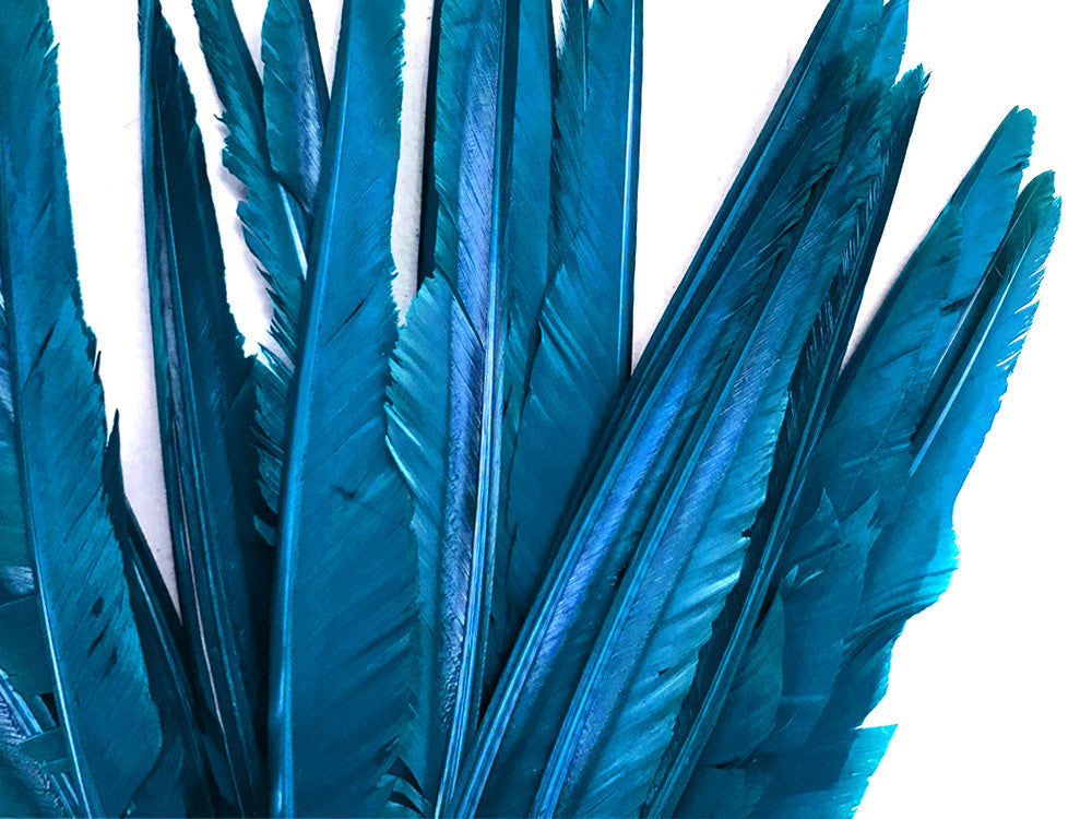 1/4 Lb. - Turquoise Blue Goose Pointers Long Primaries Wing Wholesale Feathers (Bulk)