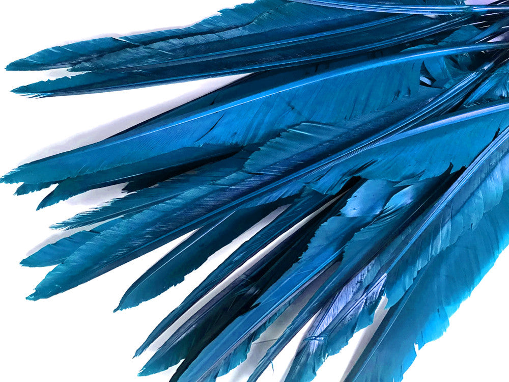 1/4 Lb. - Turquoise Blue Goose Pointers Long Primaries Wing Wholesale Feathers (Bulk)