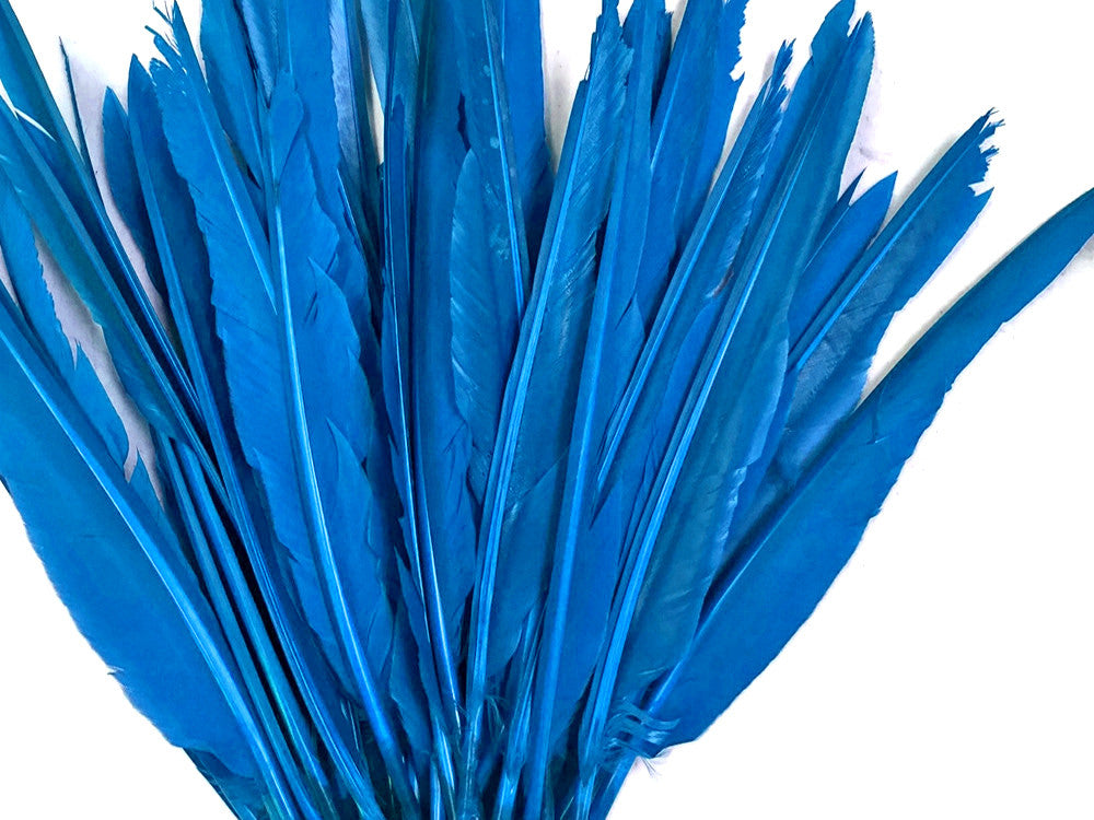 1/4 Lb. - Turquoise Blue Goose Pointers Long Primaries Wing Wholesale Feathers (Bulk)