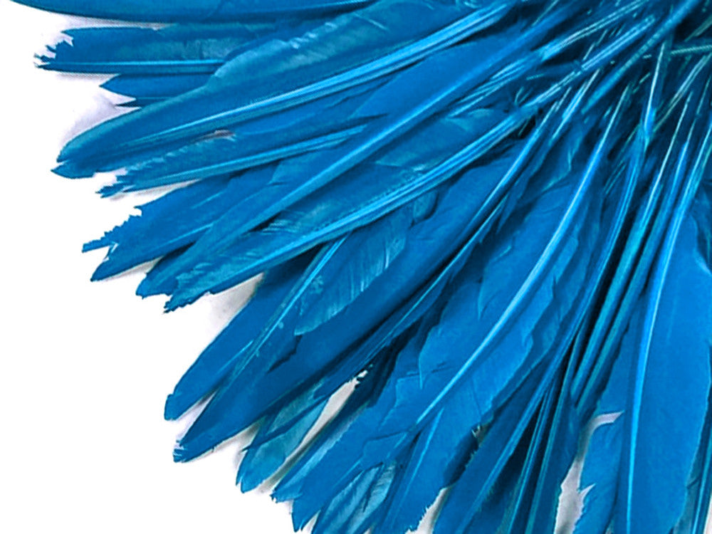 1/4 Lb. - Turquoise Blue Goose Pointers Long Primaries Wing Wholesale Feathers (Bulk)