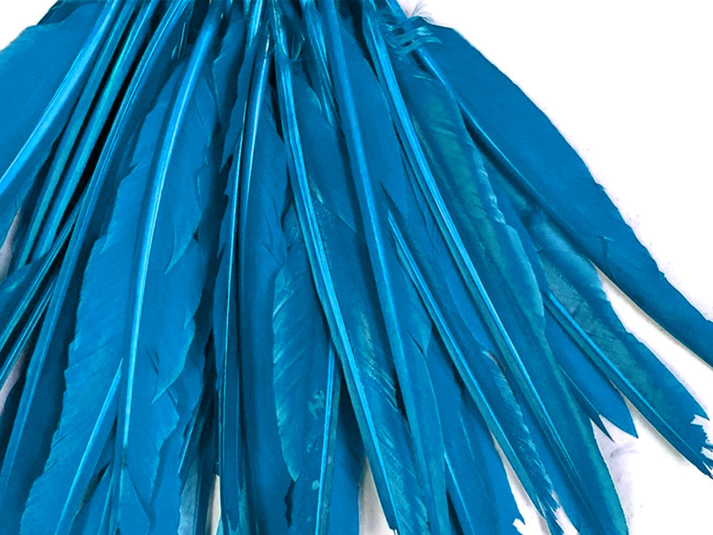 1/4 Lb. - Turquoise Blue Goose Pointers Long Primaries Wing Wholesale Feathers (Bulk)