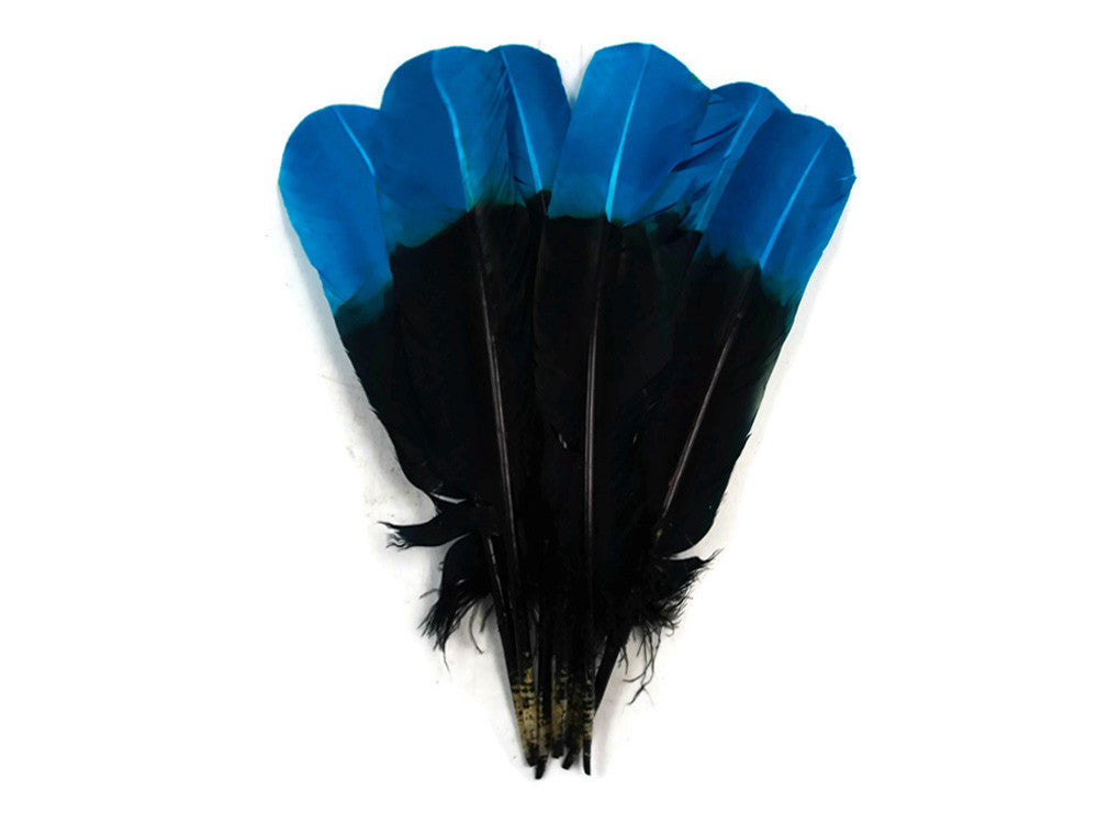 1/4 Lb - Turquoise Blue & Black Two Tone Turkey Rounds Tom Wing Secondary Quill Feathers