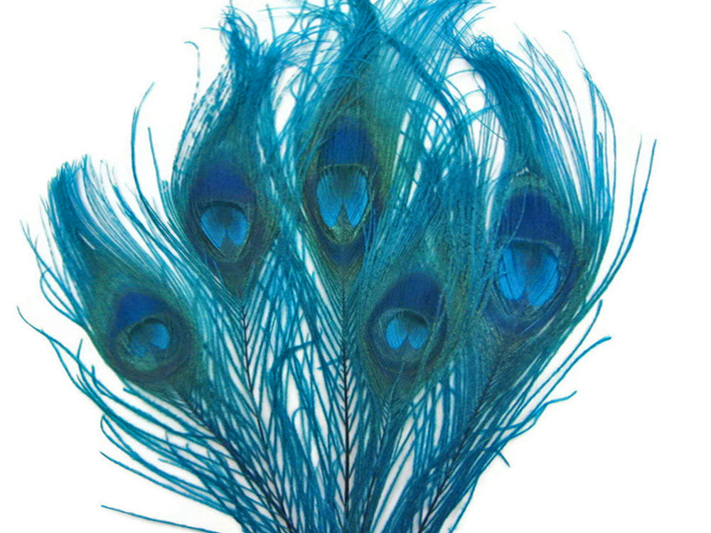 5 Pieces – Turquoise Blue Bleached & Dyed Peacock Tail Eye Feathers 10-12” 