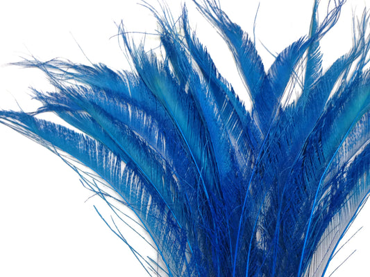 5 Pieces - 10-12" Turquoise Blue Bleached & Dyed Peacock Swords Cut Feathers