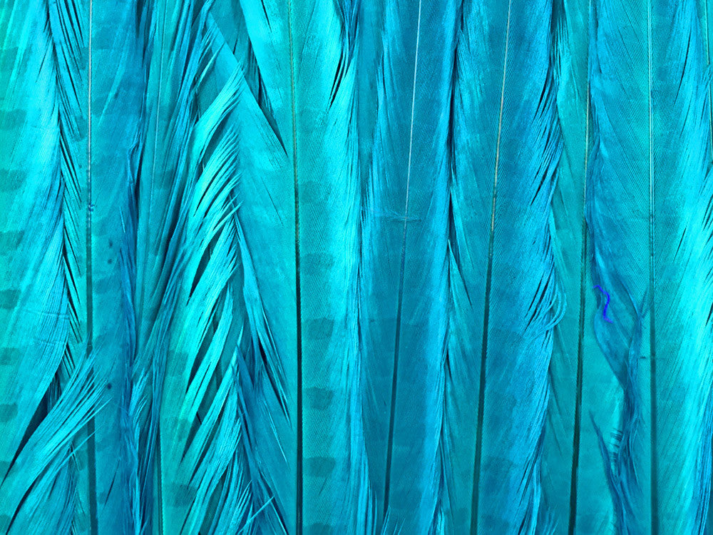 50 Pieces - 18-22" Turquoise Blue Bleached & Dyed Long Ringneck Pheasant Tail Wholesale Feathers (Bulk)