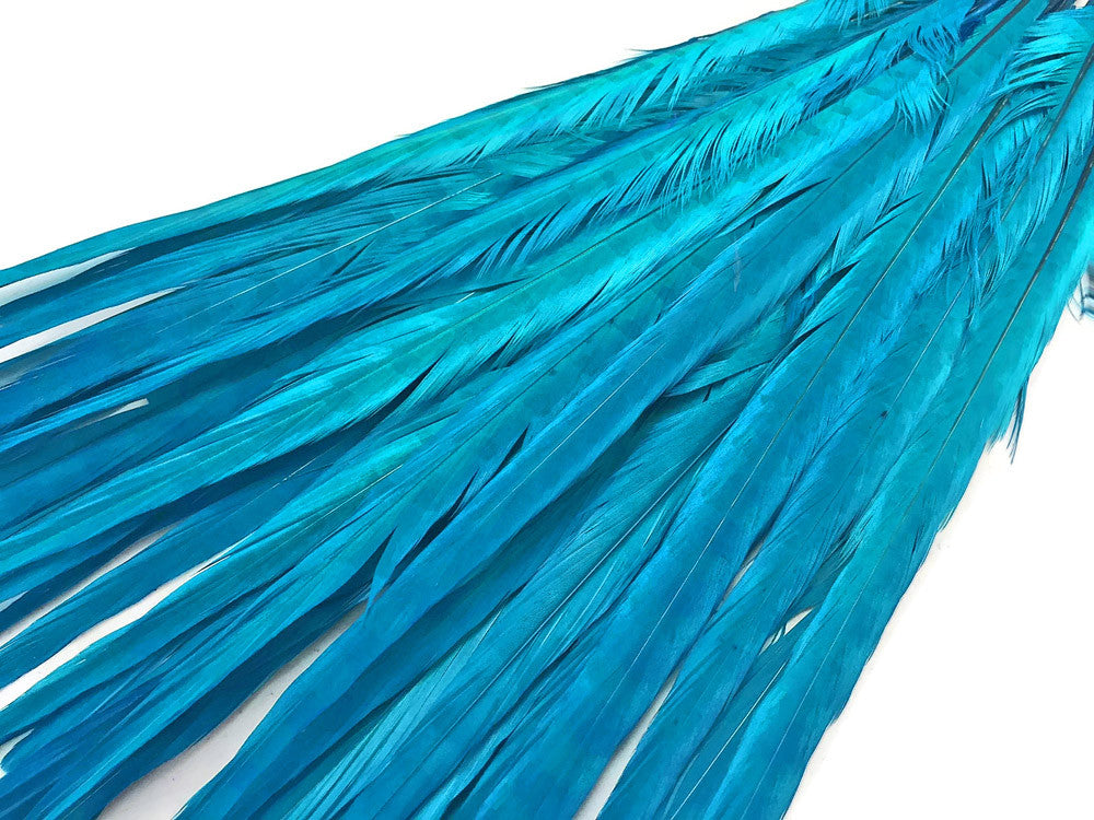 10 Pieces - 18-22" Turquoise Blue Bleached and Dyed Long Ringneck Pheasant Tail Feathers