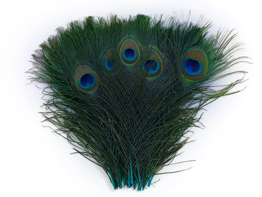 50 Pieces - 10-12" Turquoise Blue Dyed Over Natural Peacock Tail Eye Wholesale Feathers (Bulk)