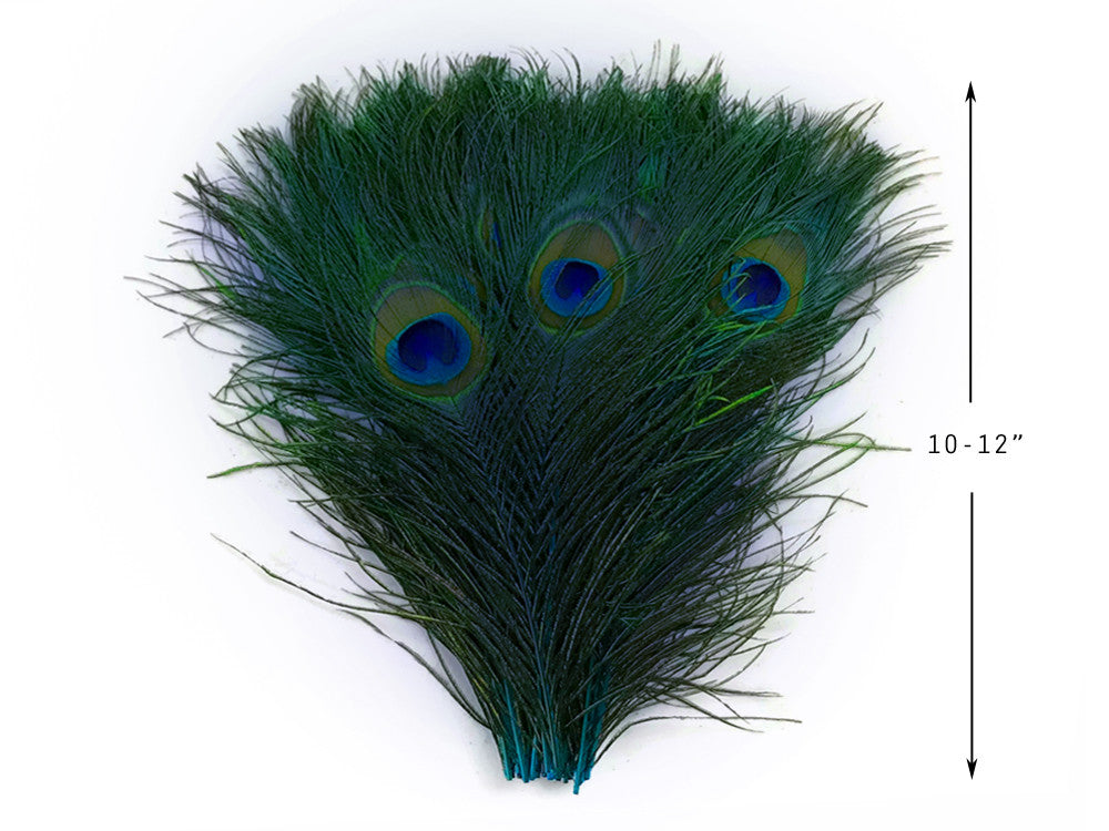 50 Pieces - 10-12" Turquoise Blue Dyed Over Natural Peacock Tail Eye Wholesale Feathers (Bulk)