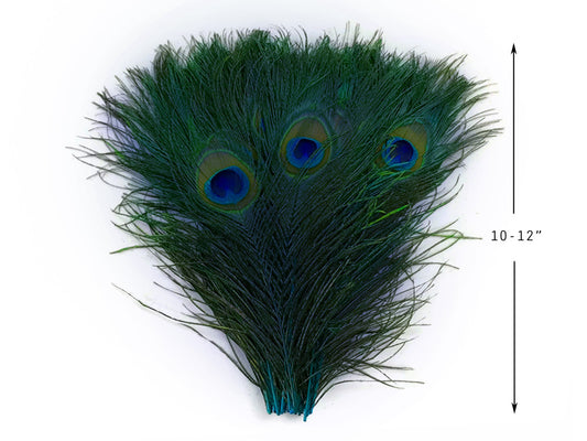 50 Pieces - 10-12" Turquoise Blue Dyed Over Natural Peacock Tail Eye Wholesale Feathers (Bulk)