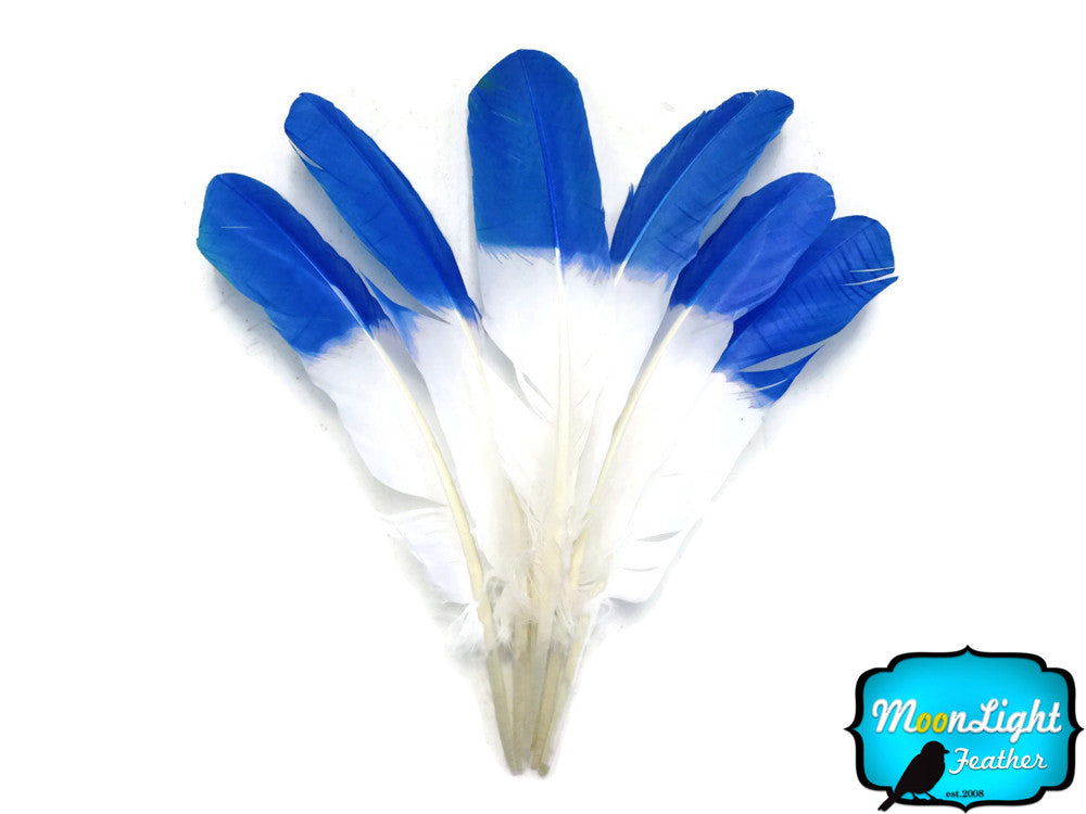 6 Pieces - Blue Half Dipped Turkey Rounds Wing Quill Feathers