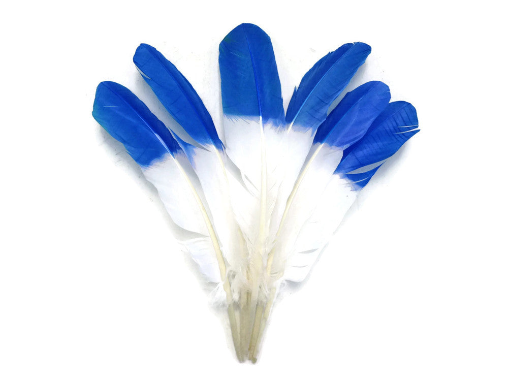 1/4 Lb - Blue Dipped "Imitation Eagle" Turkey Tom Rounds Secondary Wing Quill Wholesale Feathers (Bulk)