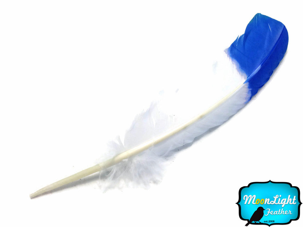 1/4 Lb - Blue Dipped "Imitation Eagle" Turkey Tom Rounds Secondary Wing Quill Wholesale Feathers (Bulk)