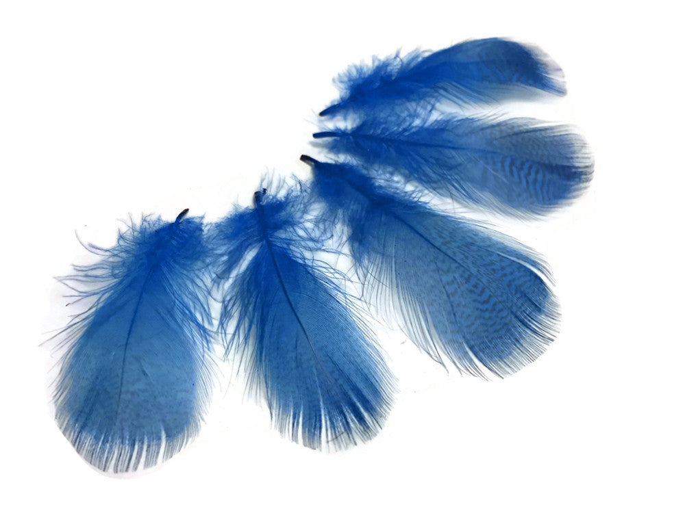 1 Pack - Turquoise Blue Mallard Duck Flank Feathers 0.10 Oz.