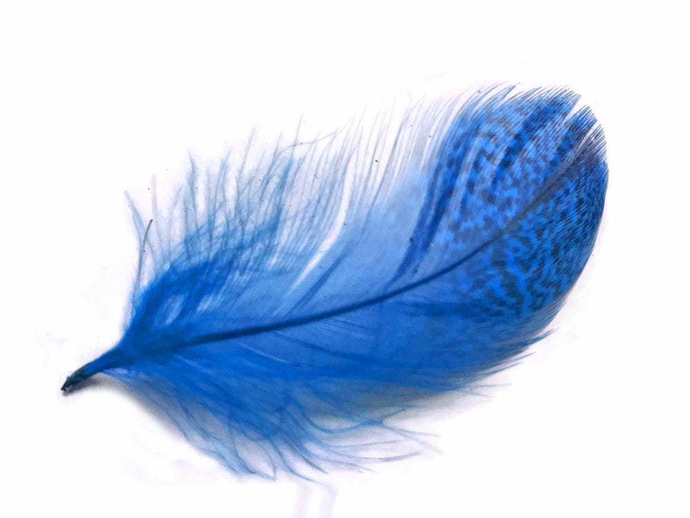 1 Pack - Turquoise Blue Mallard Duck Flank Feathers 0.10 Oz.