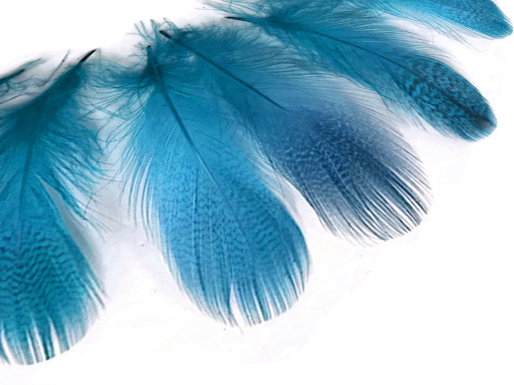 1 Pack - Turquoise Blue Mallard Duck Flank Feathers 0.10 Oz.