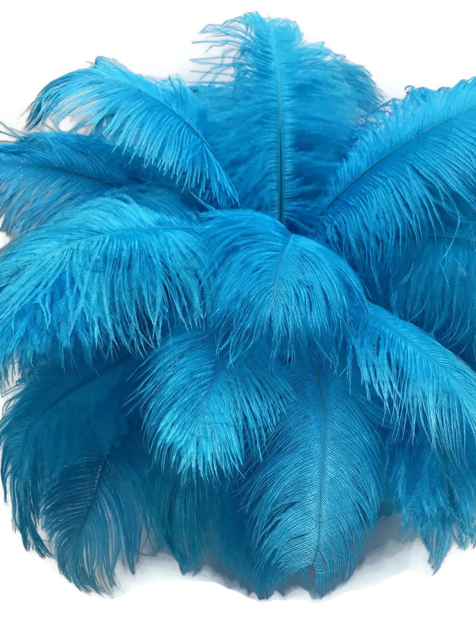 100 Pieces - 8-10" Turquoise Blue Ostrich Dyed Drab Body Wholesale Feathers (Bulk)