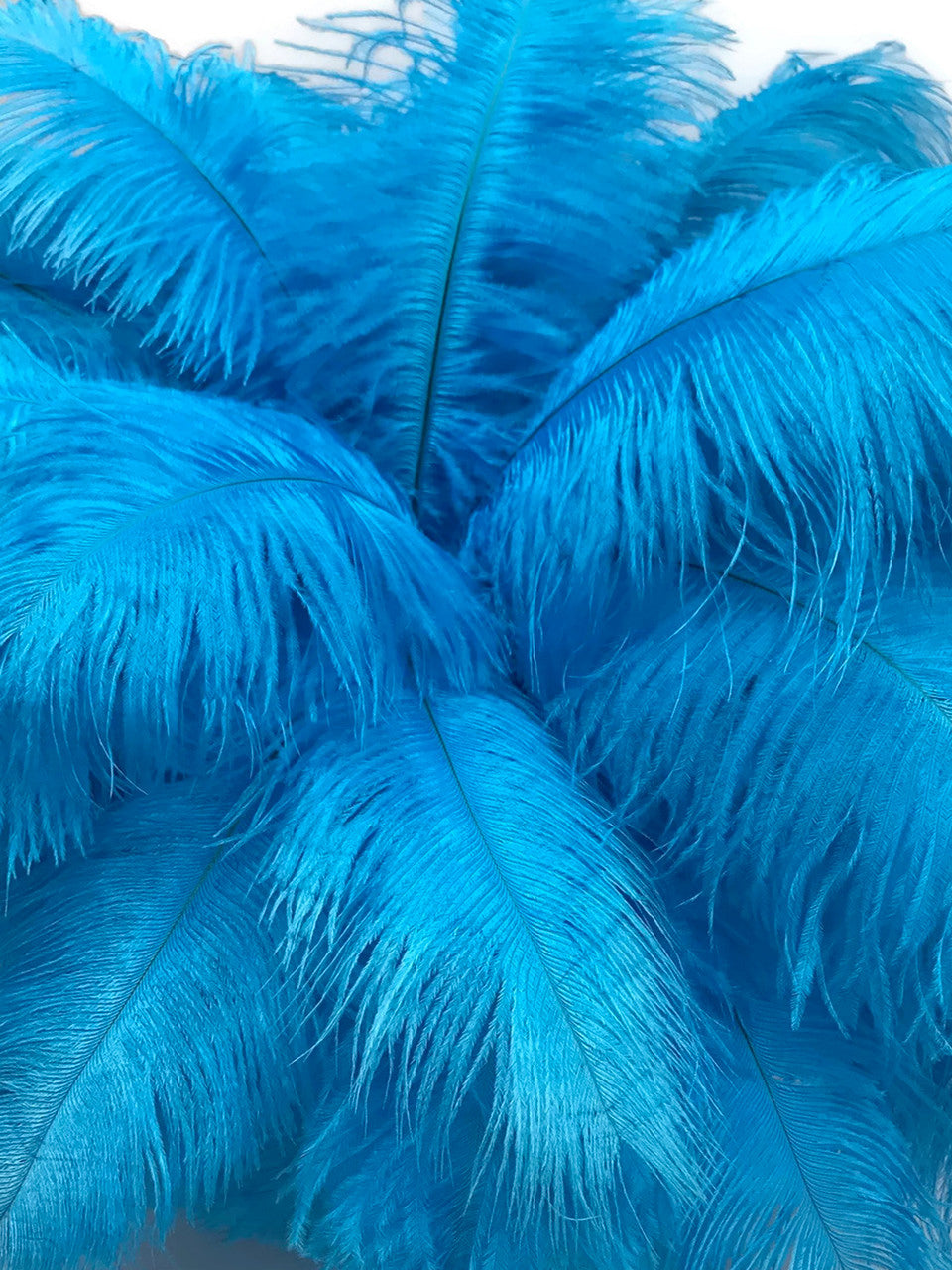 10 Pieces - 17-19" Turquoise Blue Large Bleached & Dyed Ostrich Drabs Body Feathers