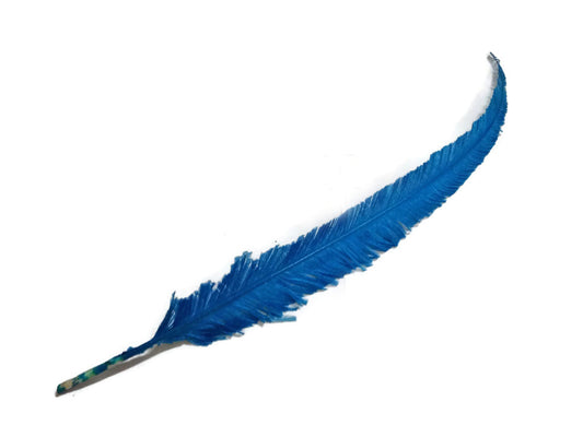 5 Pieces - Turquoise Blue Long Ostrich Nandu Trimmed Feathers