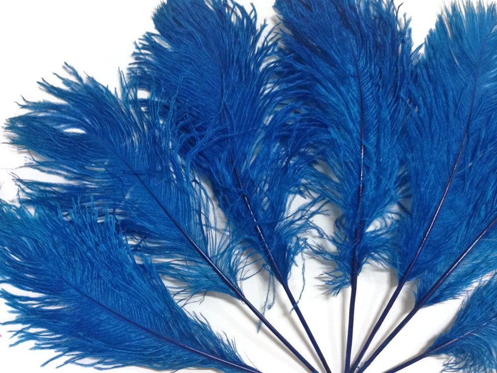 10 Pieces -  12-16" Turquoise Blue Dyed Ostrich Tail Fancy Feathers