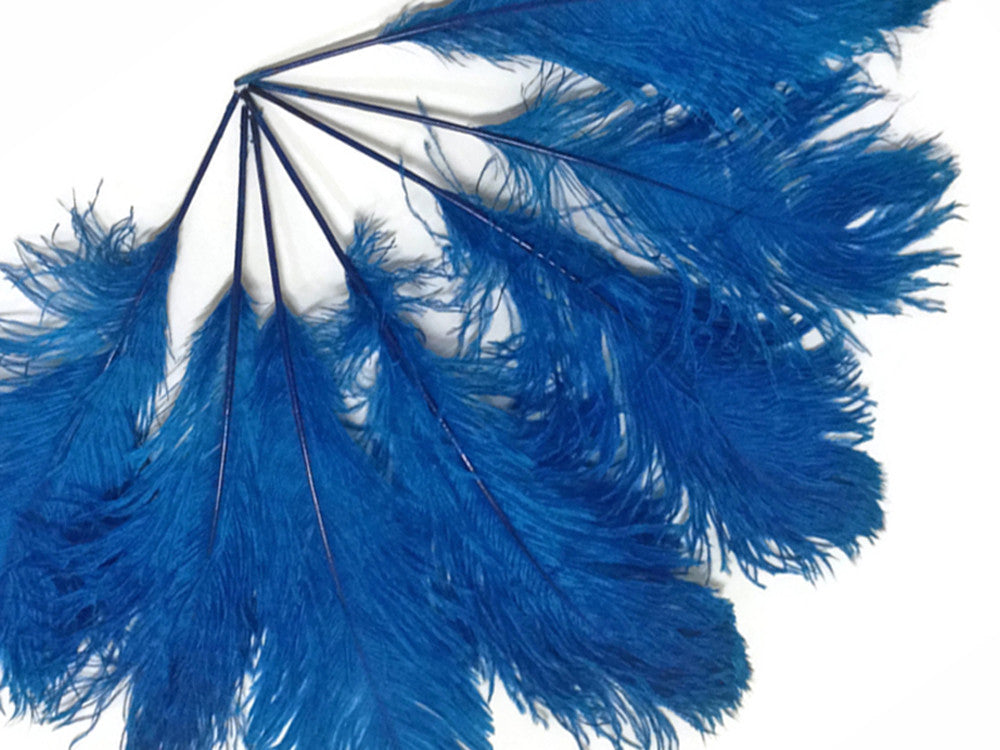 10 Pieces -  12-16" Turquoise Blue Dyed Ostrich Tail Fancy Feathers