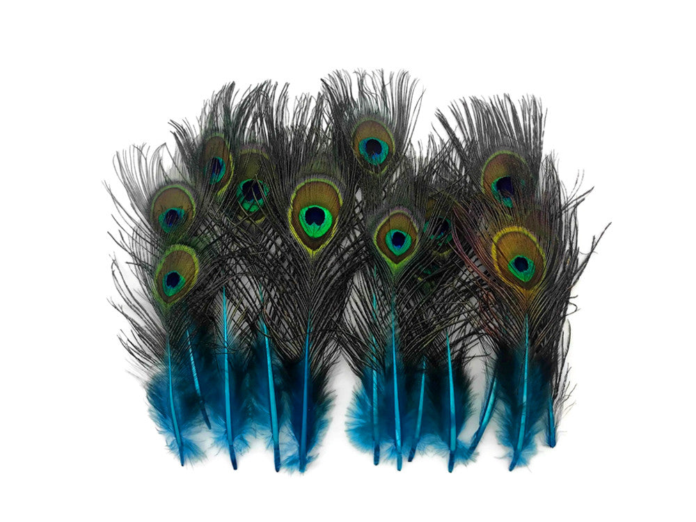 50 Pieces - Turquoise Blue Mini Natural Peacock Tail Body With Eyes Wholesale Feathers (Bulk)