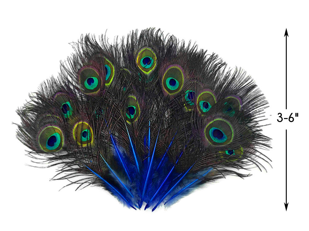 50 Pieces - Royal Blue Mini Natural Peacock Tail Body With Eyes Wholesale Feathers (Bulk)