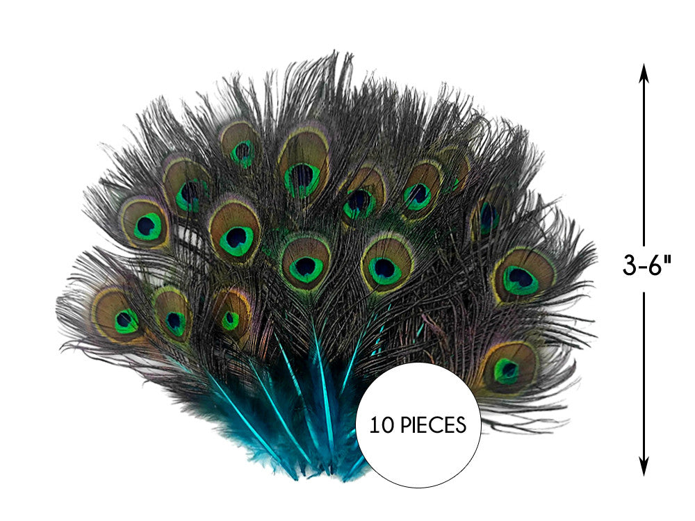 10 Pieces - Turquoise Blue Mini Natural Peacock Tail Body Feathers With Eyes