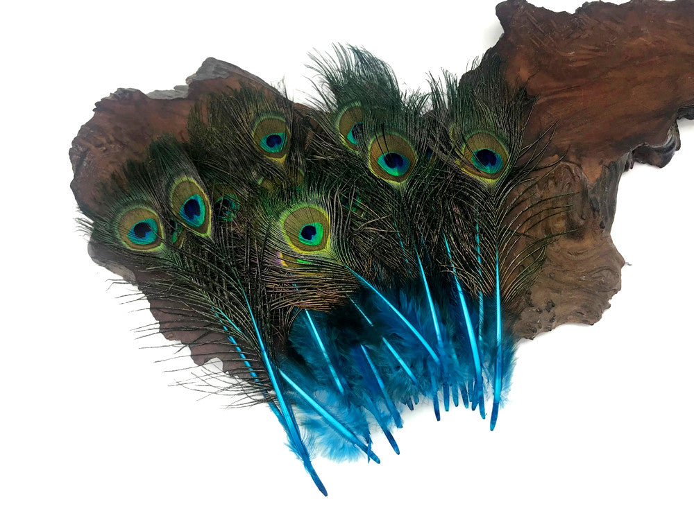 10 Pieces - Turquoise Blue Mini Natural Peacock Tail Body Feathers With Eyes