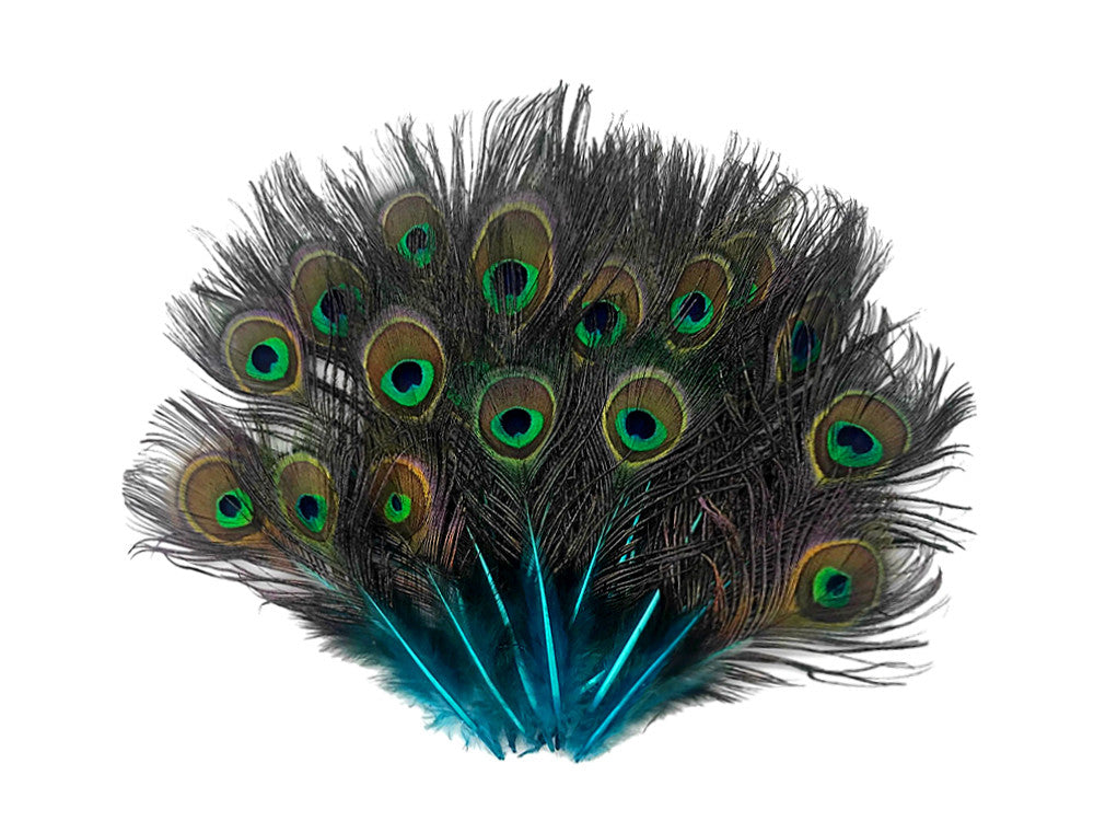 10 Pieces - Turquoise Blue Mini Natural Peacock Tail Body Feathers With Eyes