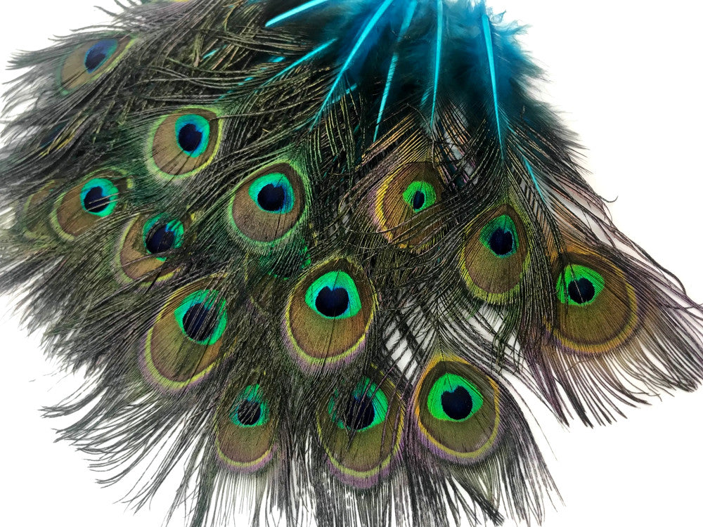 10 Pieces - Turquoise Blue Mini Natural Peacock Tail Body Feathers With Eyes