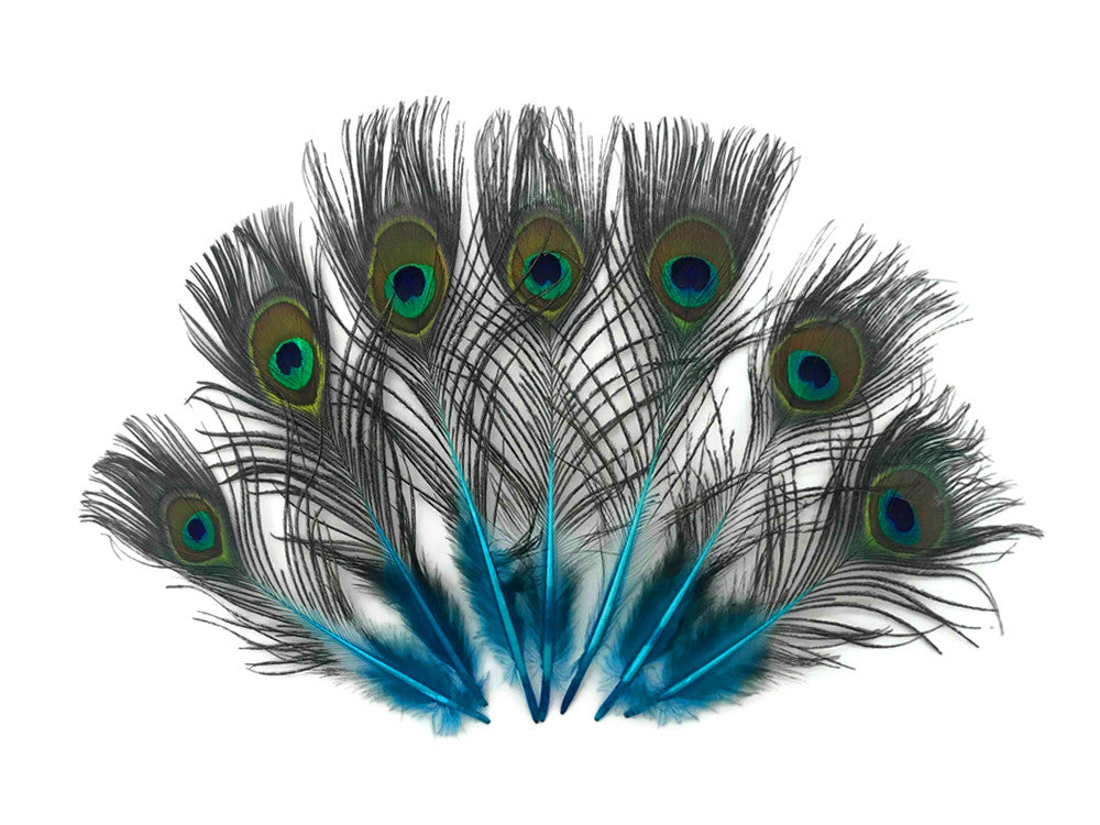 10 Pieces - Turquoise Blue Mini Natural Peacock Tail Body Feathers With Eyes