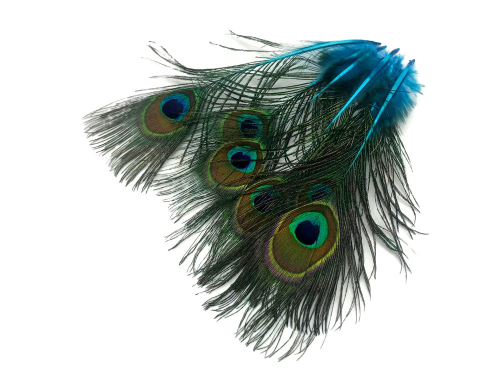 10 Pieces - Turquoise Blue Mini Natural Peacock Tail Body Feathers With Eyes