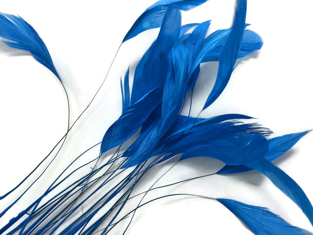 1 Dozen - Turquoise Blue Stripped Rooster Coque Tail Feathers