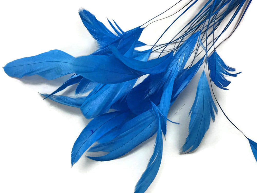 1 Dozen - Turquoise Blue Stripped Rooster Coque Tail Feathers