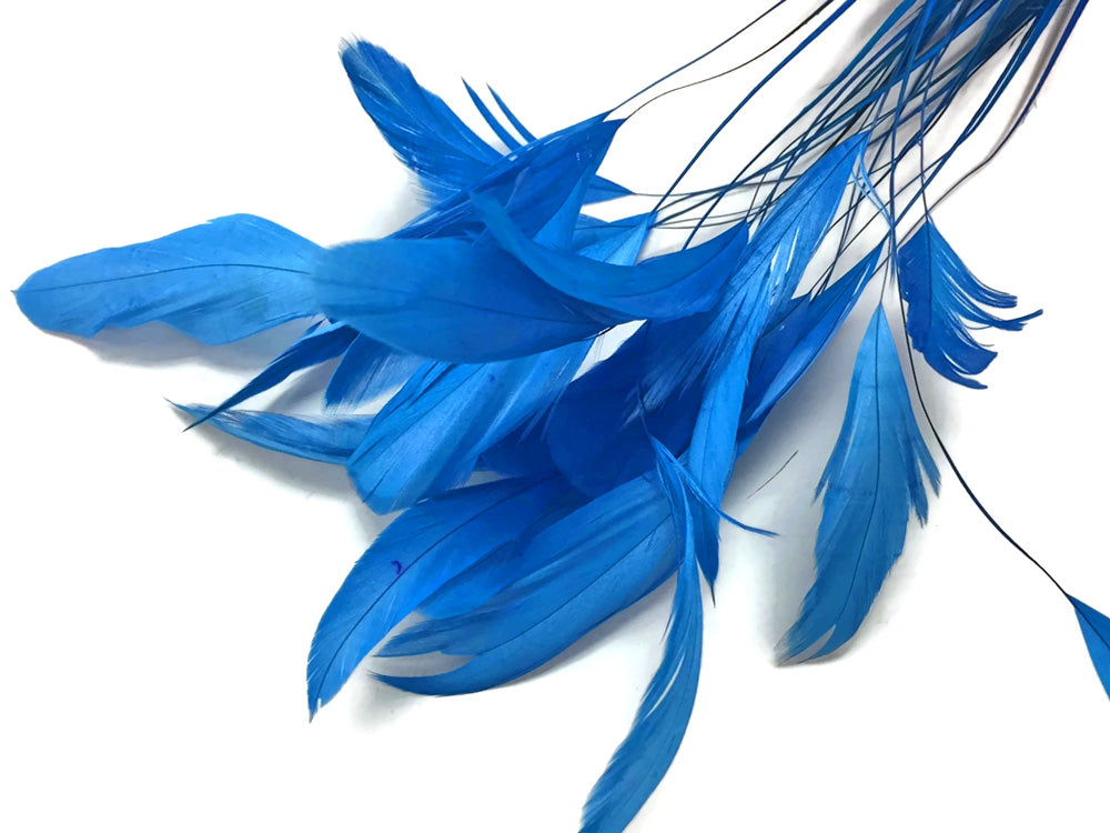 1 Yard - Turquoise Blue Stripped Coque Tail Feathers Wholesale Trim (Bulk)