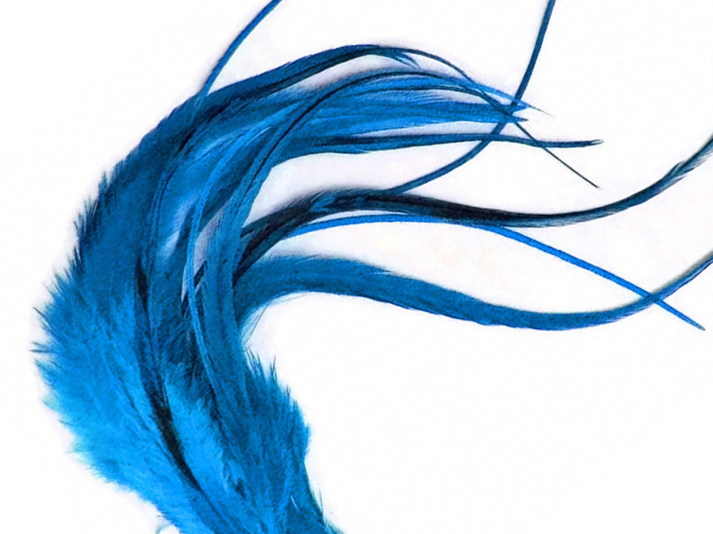 1 Dozen - Medium Solid Turquoise Blue Rooster Saddle Whiting Hair Extension Feathers