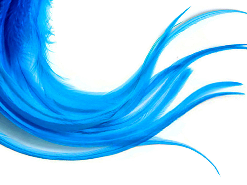 1 Dozen - Medium Solid Turquoise Blue Rooster Saddle Whiting Hair Extension Feathers