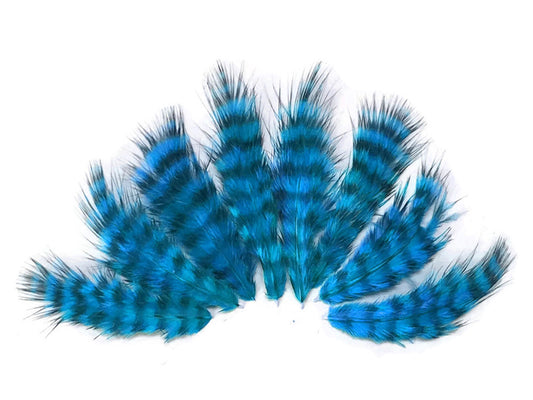 1 Dozen - Turquoise Blue Grizzly Mini Rooster Chickabou Fluff Whiting Hair Feathers