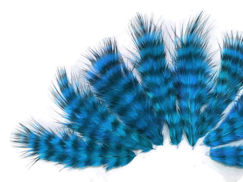 1 Dozen - Turquoise Blue Grizzly Mini Rooster Chickabou Fluff Whiting Hair Feathers