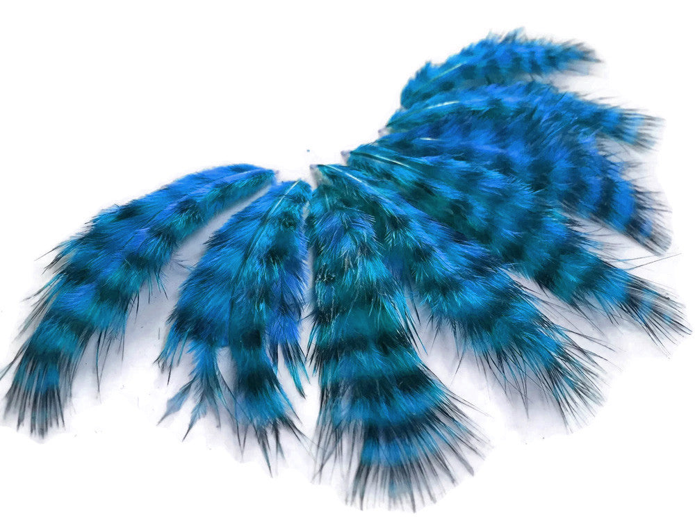 1 Dozen - Turquoise Blue Grizzly Mini Rooster Chickabou Fluff Whiting Hair Feathers