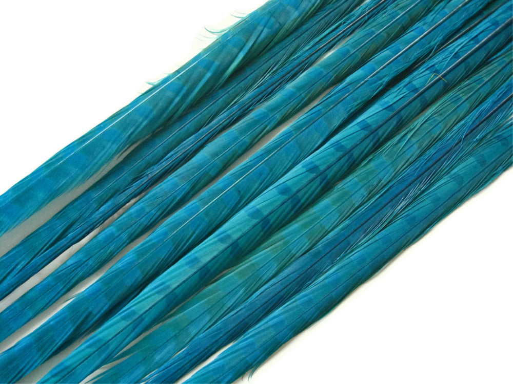 50 Pieces - 18-22" Turquoise Blue Bleached & Dyed Long Ringneck Pheasant Tail Wholesale Feathers (Bulk)