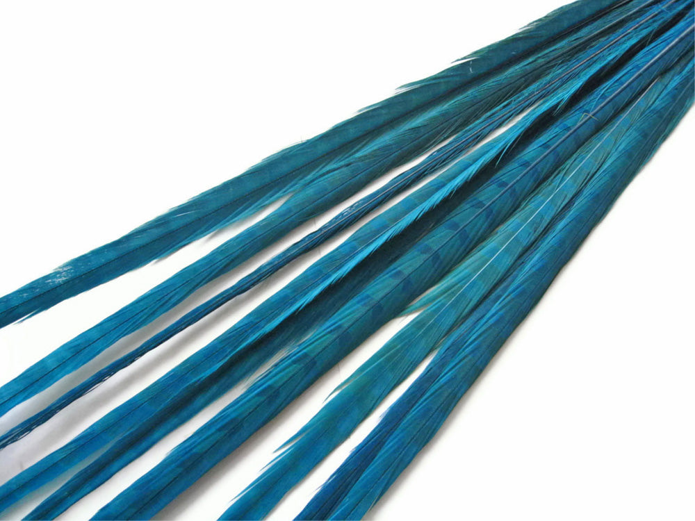 10 Pieces - 18-22" Turquoise Blue Bleached and Dyed Long Ringneck Pheasant Tail Feathers