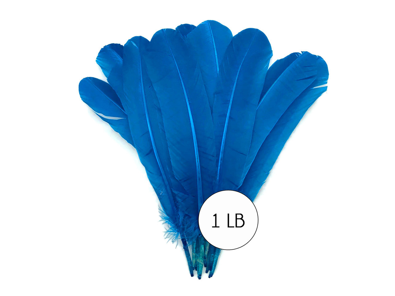 1 Lb. - Turquoise Blue Turkey Tom Rounds Secondary Wing Quill Wholesale Feathers (Bulk)