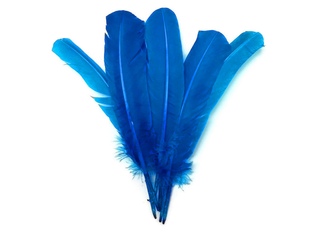 6 Pieces - Turquoise Turkey Rounds Secondary Wing Quill Feathers