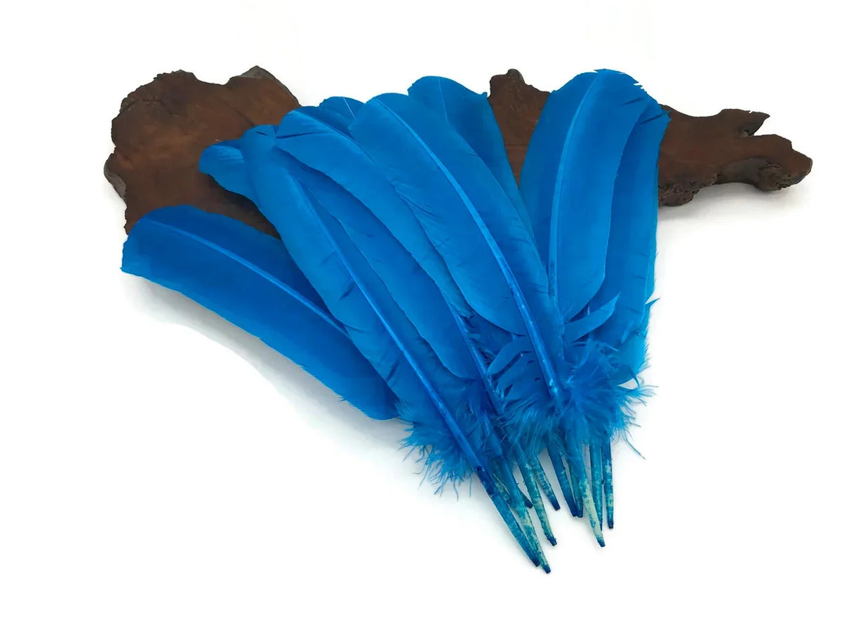 Vibrant blue craft feathers arranged on a rustic wood piece for DIY decor and fashion.